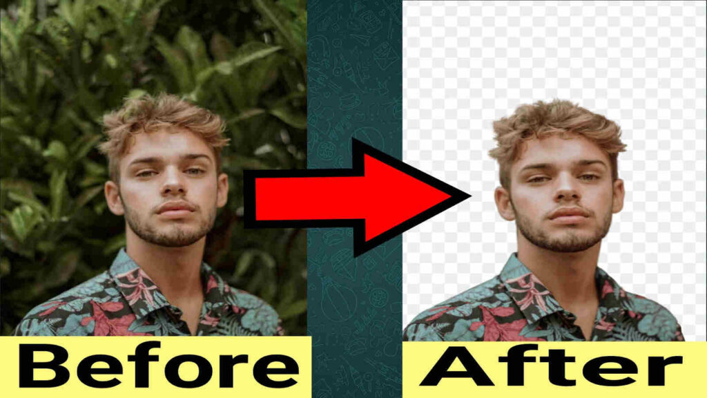 Removing Background Using Remove bg - How to Remove Background from Photos